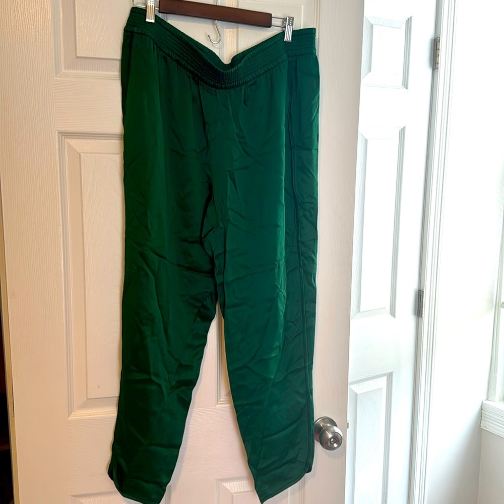 Zara nwot silky green track pants